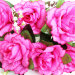 Б10896 Б/С Бук. 7 голов роз с ландышем"Весенний"в роз.50см(10микс)