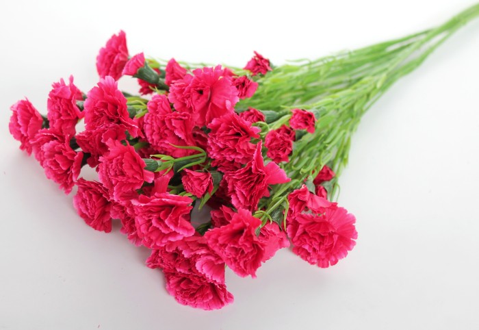 В11024 Б/С Вет.с крупными гол.воздика 15г.Н60см(10шт)