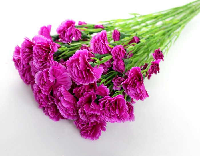 В11024 Б/С Вет.с крупными гол.воздика 15г.Н60см(10шт)