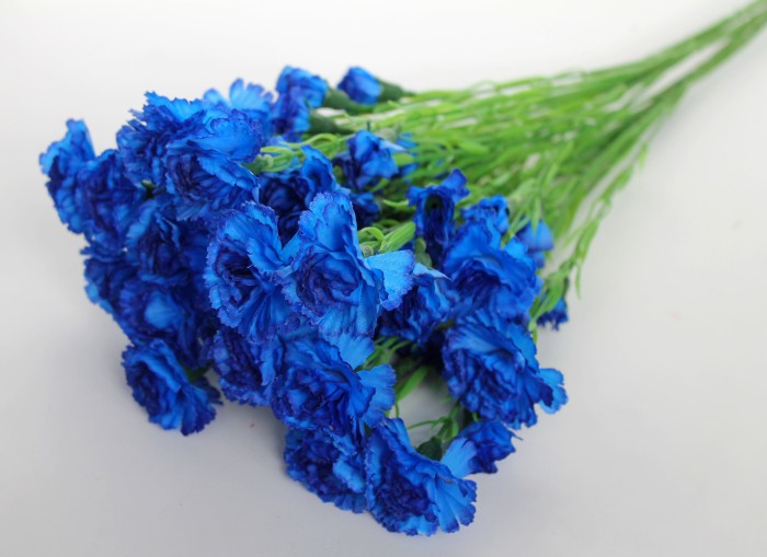 В11024 Б/С Вет.с крупными гол.воздика 15г.Н60см(10шт)