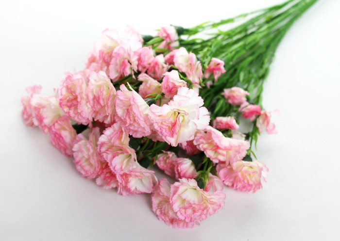 В11024 Б/С Вет.с крупными гол.воздика 15г.Н60см(10шт)