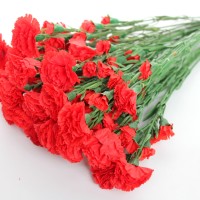 Красный