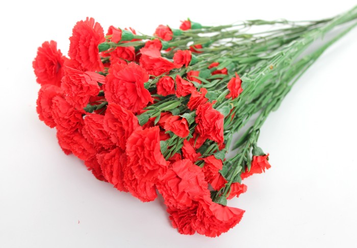 В11024 Б/С Вет.с крупными гол.воздика 15г.Н60см(10шт)