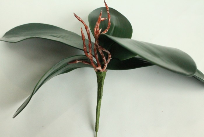 Д11251 Б/С Корешки орх. 2 крупных+3средних л.Н35см(10шт)