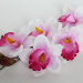 В11395 Орхидея крупная фаленопсис"Филадельфия"Н70см