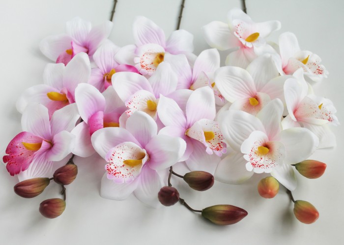 В11395 Орхидея крупная фаленопсис"Филадельфия"Н70см