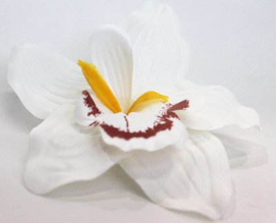 Г11766 Б/СГолова крупной 18см орхидеи фаленопсис(20шт/50шт)