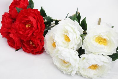 Б11906 Б/С Куст "Красное и белое" крупных пионов"Армани"5г.55см(10шт)