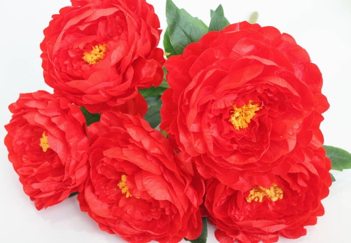 Б11906 Б/С Куст крупных пионов"Армани"5г.55см(10шт)