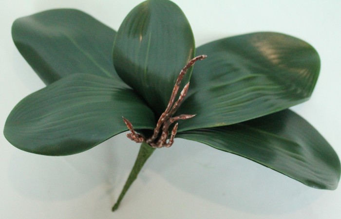 Д11252 Б/С Корешки орх.3 крупных+2средних л.Н35см(10шт)