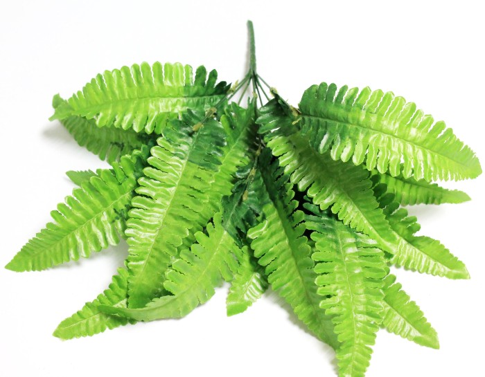 Б12105 Букет папоротник"Лесничий"17листьев 7вет.44см(5шт)