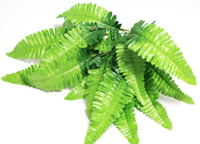 Б12105 Букет папоротник"Лесничий"17листьев 7вет.44см(5шт)