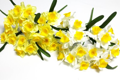 Б9738 Букет нарцисс 21 голова 7 вет."Маркиз"Н45см(10микс)