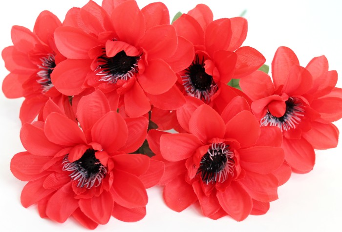 Б11565 Букет георгина"Бармалей"6г.Н49см(20микс)