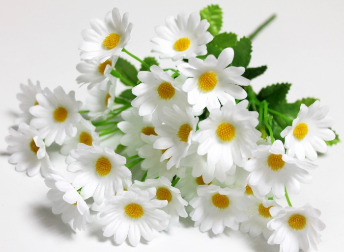 Б12261 Б/С Бук.ромашка 5вет.30 голов 33см(20шт)