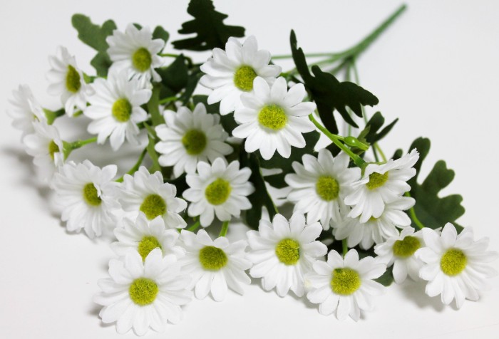 Б12260 Б/С Букет ромашка с зеленой серед.7вет.21гол.34см(20шт)