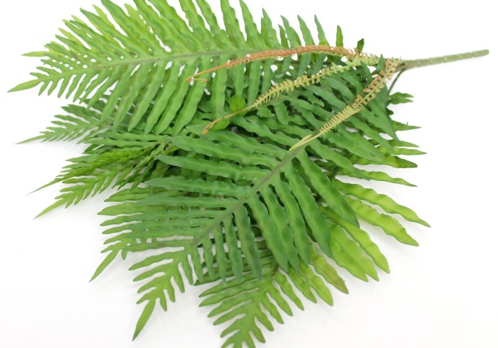 Б11485 Б/С Папоротник тропич. Осмунда силикон. как резина 8 листов Н52см 