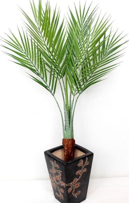 Д11137 Б/С Куст пальмы Кентия древовидная Н71см