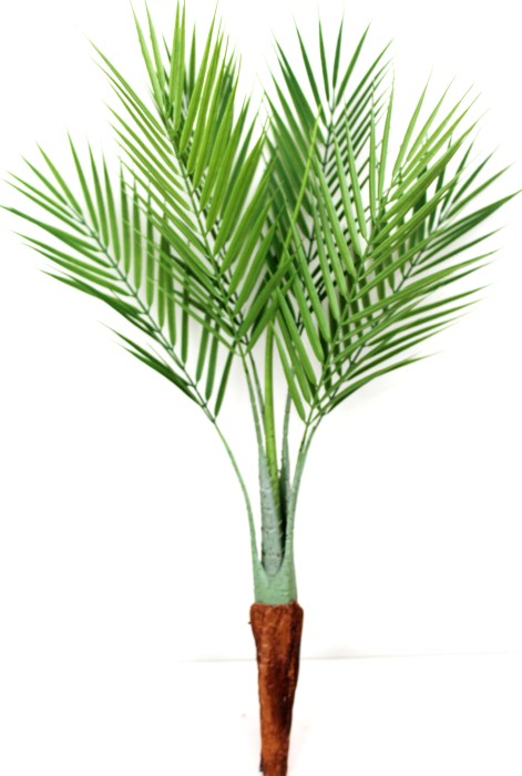 Д11137 Б/С Куст пальмы Кентия древовидная Н71см