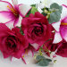 Б11688 Букет 10в.роза с лилией"Прелесть"Н47см(4микс)