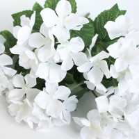 Белый