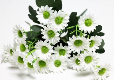 Б12267 Б/С Букет ромашки нивяник-аляска 21голова 7вет.37см(12шт)