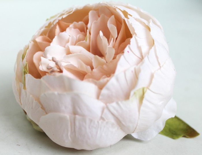 Г11193 Б/С Пион"Презент"d=10см(20шт)