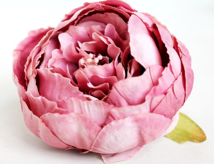 Г11193 Б/С Пион"Презент"d=10см(20шт)