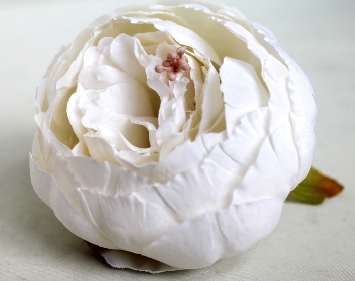 Г11193 Б/С Пион"Презент"d=10см(20шт)