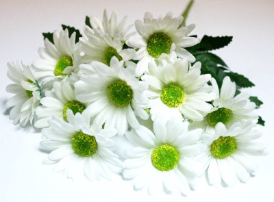 Б12268 Б/С Бук.ромаш.Викториан-нивяник 15 больших гол.5вет.40см(20шт)