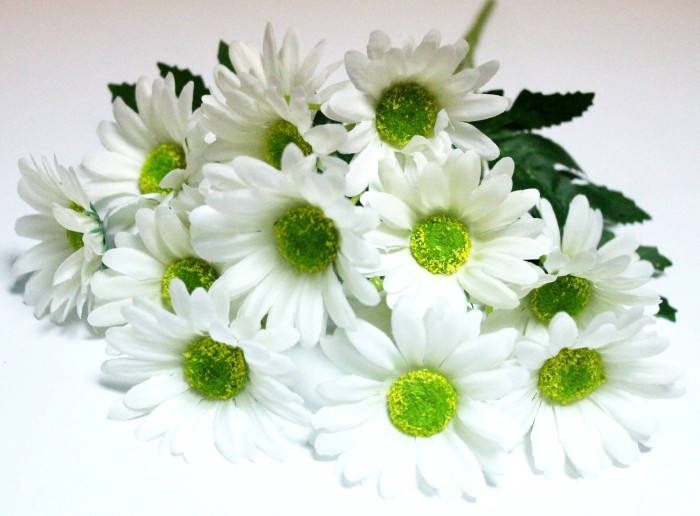 Б12268 Б/С Бук.ромаш.Викториан-нивяник 15 больших гол.5вет.40см(20шт)