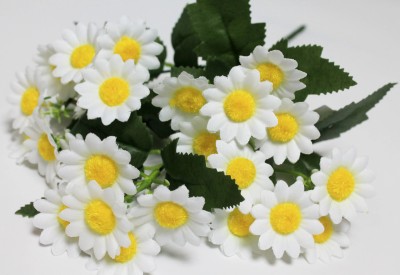 Б12269 Б/С Бук.ромашка пупавка 20 гол.5вет.33см(20шт)