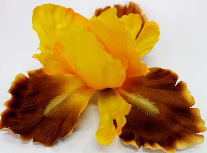 Г9116 Голова Ириса"Калипсо"d=18см(20шт)