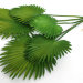 Д11491 Б/С Куст Пальмы"Вашингтония"5 листов 49см силиконовый как резина