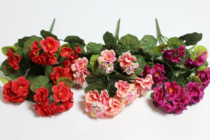 Б12271 Б/С Пеларгония(герань) горшечная 6гол.6вет.40см(10шт)