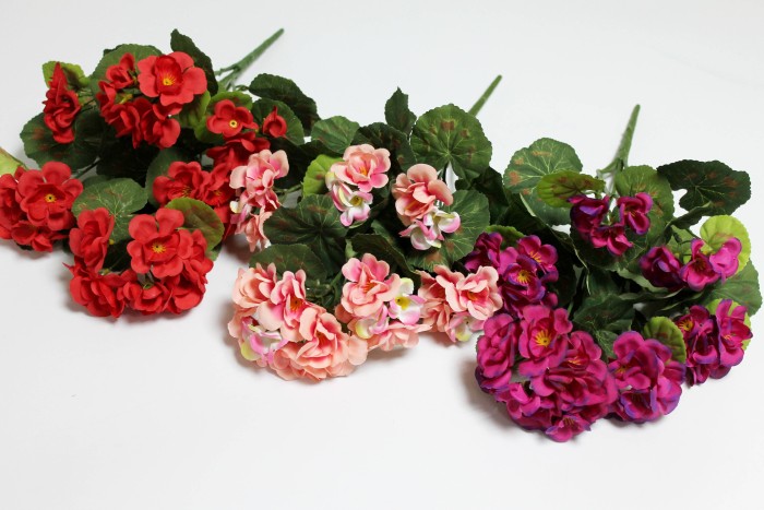 Б12271 Б/С Пеларгония(герань) горшечная 6гол.6вет.40см(10шт)