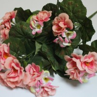 Персиковый