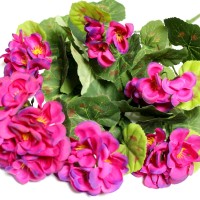 Фиолетовый