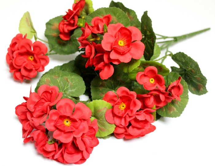 Б12271 Б/С Пеларгония(герань) горшечная 6гол.6вет.40см(10шт)