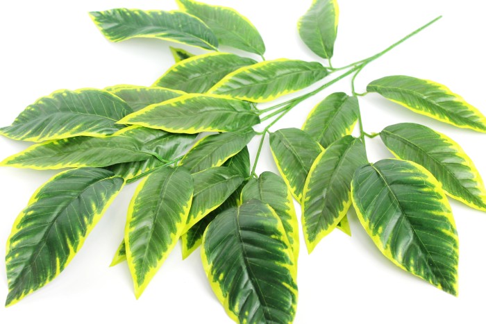 В4589 Ветка дерева из 5 веток магнолия Н73см(12шт)