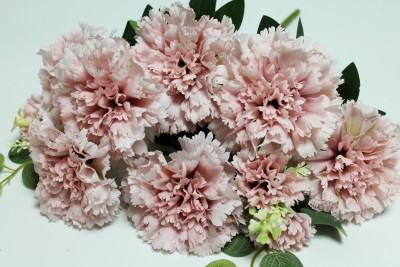 Б12273 Букет крупная гвоздика-шабо 9вет.с эвкалипт."Модера"46см