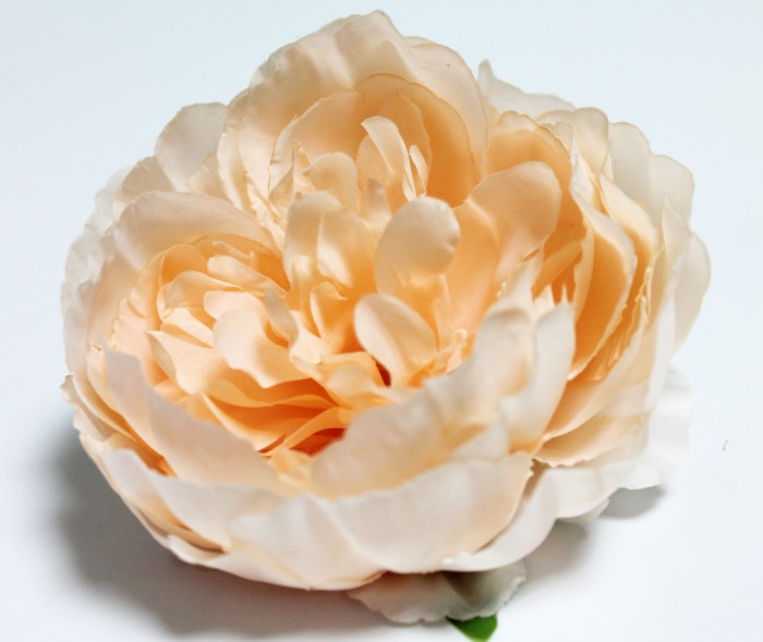 Г11190 Пион"Соломон"d=12см(20шт)