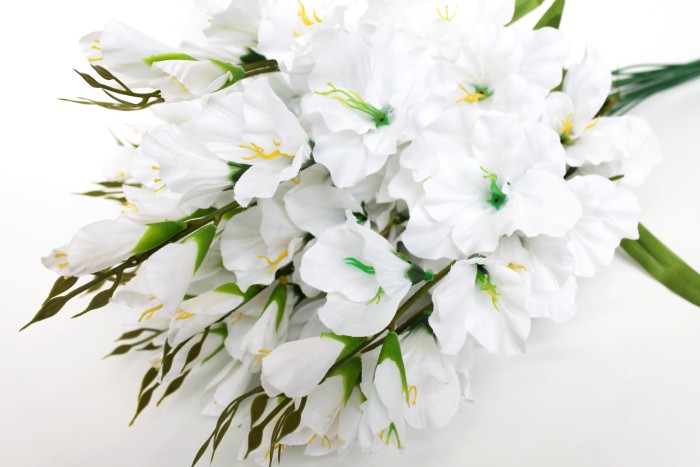 В11253 Б/С Вет.гладиолуса"Симфония"5г.+2б.Н65см(20шт)