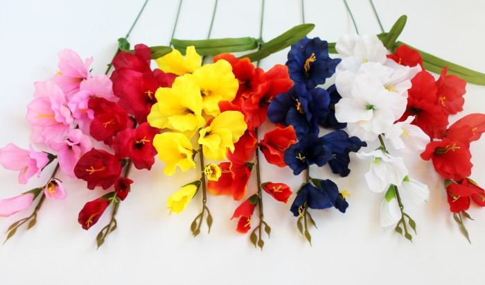 В11253 Б/С Вет.гладиолуса"Симфония"5г.+2б.Н65см(20шт)