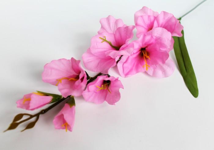 В11253 Б/С Вет.гладиолуса"Симфония"5г.+2б.Н65см(20шт)