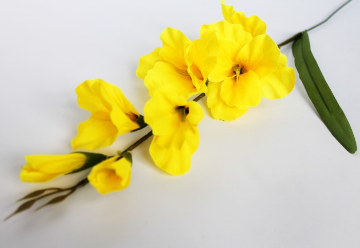 В11253 Б/С Вет.гладиолуса"Симфония"5г.+2б.Н65см(20шт)