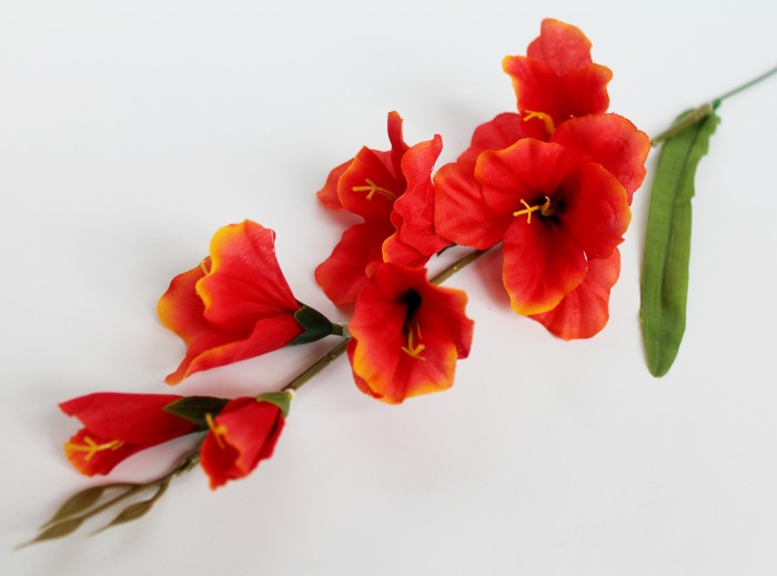 В11253 Б/С Вет.гладиолуса"Симфония"5г.+2б.Н65см(20шт)