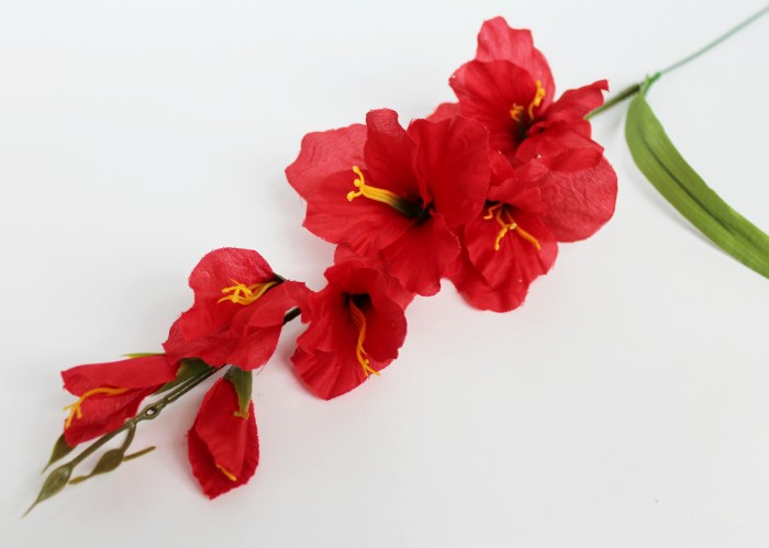 В11253 Б/С Вет.гладиолуса"Симфония"5г.+2б.Н65см(20шт)