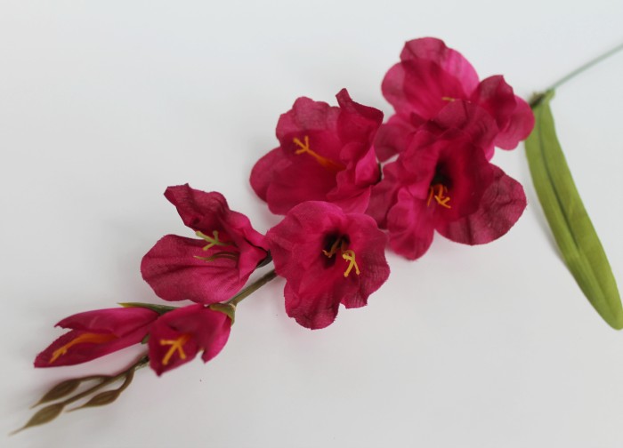 В11253 Б/С Вет.гладиолуса"Симфония"5г.+2б.Н65см(20шт)