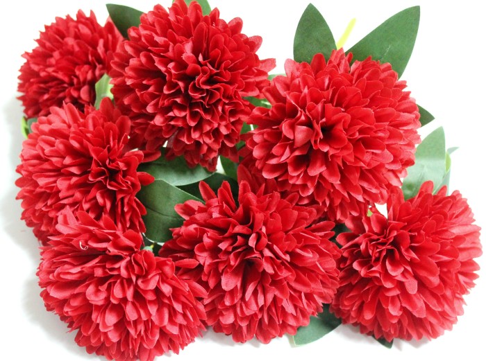 Б12275 Букет хризантема 7гол."Красное и белое"44см(10шт)